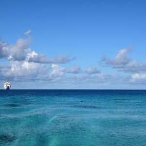 黑寡妇3满天星法版
